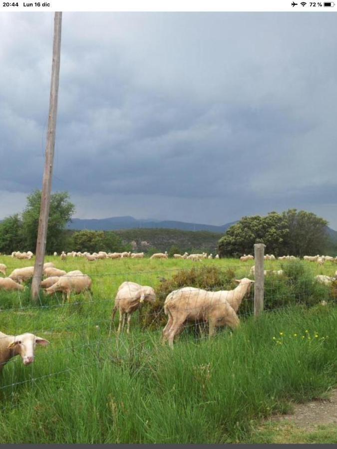 Preciosas Vistas A La Montana, Luminoso Y Acogedor Lejlighed El Pueyo de Araguás Eksteriør billede