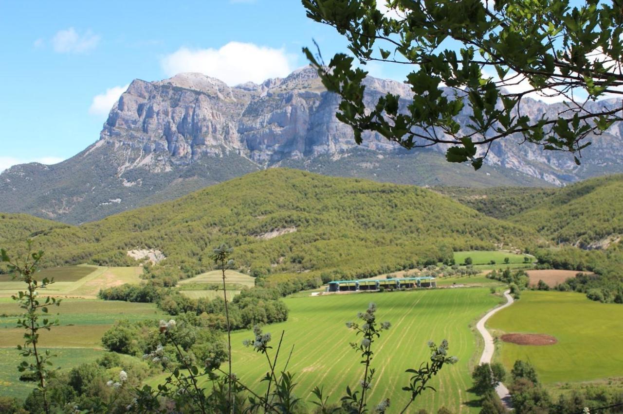 Preciosas Vistas A La Montana, Luminoso Y Acogedor Lejlighed El Pueyo de Araguás Eksteriør billede